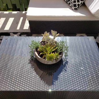 Interior Plant Service - undefined - Nurseries & Gardening Near Me - San Diego, California