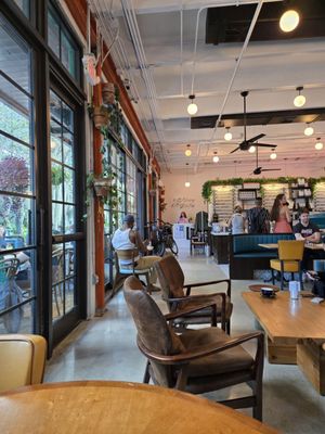 Novela Cafe Social by null