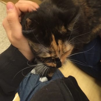 PetSmart - Such a snuggle bug! - Pet Training Near Me - Johnston, Rhode Island PetSmart - Such a snuggle bug! - Pet Training Near Me - Johnston, Rhode Island