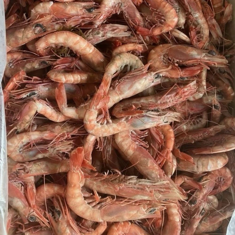 Gautier & Sons - Shrimp - Farmers Market Near Me - Nashville, Tennessee Gautier & Sons - Shrimp - Farmers Market Near Me - Nashville, Tennessee