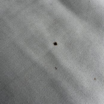 The Cosmopolitan - Cigarette burns & stains on the balcony furniture. - Hotels Near Me - Las Vegas, Nevada The Cosmopolitan - Cigarette burns & stains on the balcony furniture. - Hotels Near Me - Las Vegas, Nevada