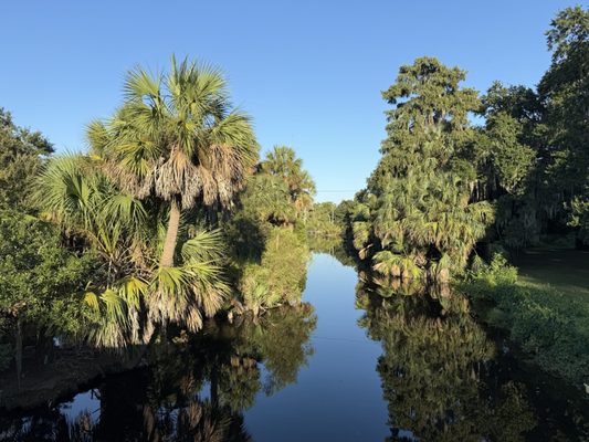 City Park Topiary by null