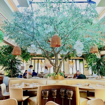 Ema - Inside the restaurant - Mediterranean Near Me - Glenview, Illinois Ema - Inside the restaurant - Mediterranean Near Me - Glenview, Illinois