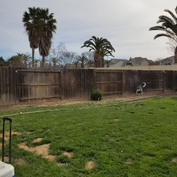 Galvan Tree Services - All clear, looks great and ready for our pool area! - Tree Services Near Me