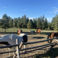 Summer Star Ranch - Our only neighbors for the night