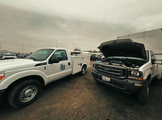 Murphy Mobile Repair LLC brings 25+ years of experience - As a family-run business, client safety and quality work come first. We offer on-site medium & heavy-duty fleet maintenance and heavy equipment repair to keep your crews moving and downtime low.
Proud to support powerline, utility, and tree-maintenance fleets with dealer-level service. 🚛⚡
We come to you! Murphy Mobile Repair LLC brings 25+ years of experience - As a family-run business, client safety and quality work come first. We offer on-site medium & heavy-duty fleet maintenance and heavy equipment repair to keep your crews moving and downtime low.
Proud to support powerline, utility, and tree-maintenance fleets with dealer-level service. 🚛⚡
We come to you!