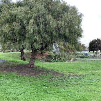 India Basin Shoreline Park - Parks Near Me - San Francisco, California India Basin Shoreline Park - Parks Near Me - San Francisco, California