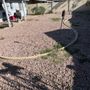 Backyard Renovations AZ