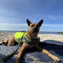 Bayshore Waterfront Park - Enjoy some beautiful weather