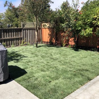 Blue Cypress Landscaping - After - Landscaping Near Me - Penngrove, California Blue Cypress Landscaping - After - Landscaping Near Me - Penngrove, California