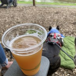 Aurora Brewing - Beer