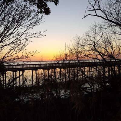 Duck Village Outfitters by null