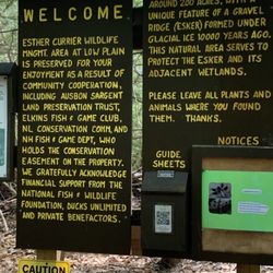 Davis Path at The Esther Currier Wildlife Management Area
