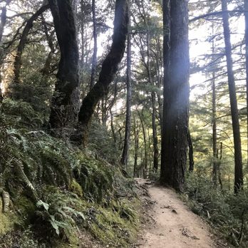 Steep Ravine Trail - Hiking Near Me