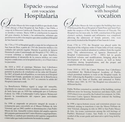 Museo San Pedro de Arte by null