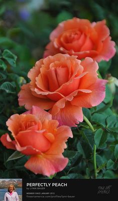 Boro6 Wine Bar by null