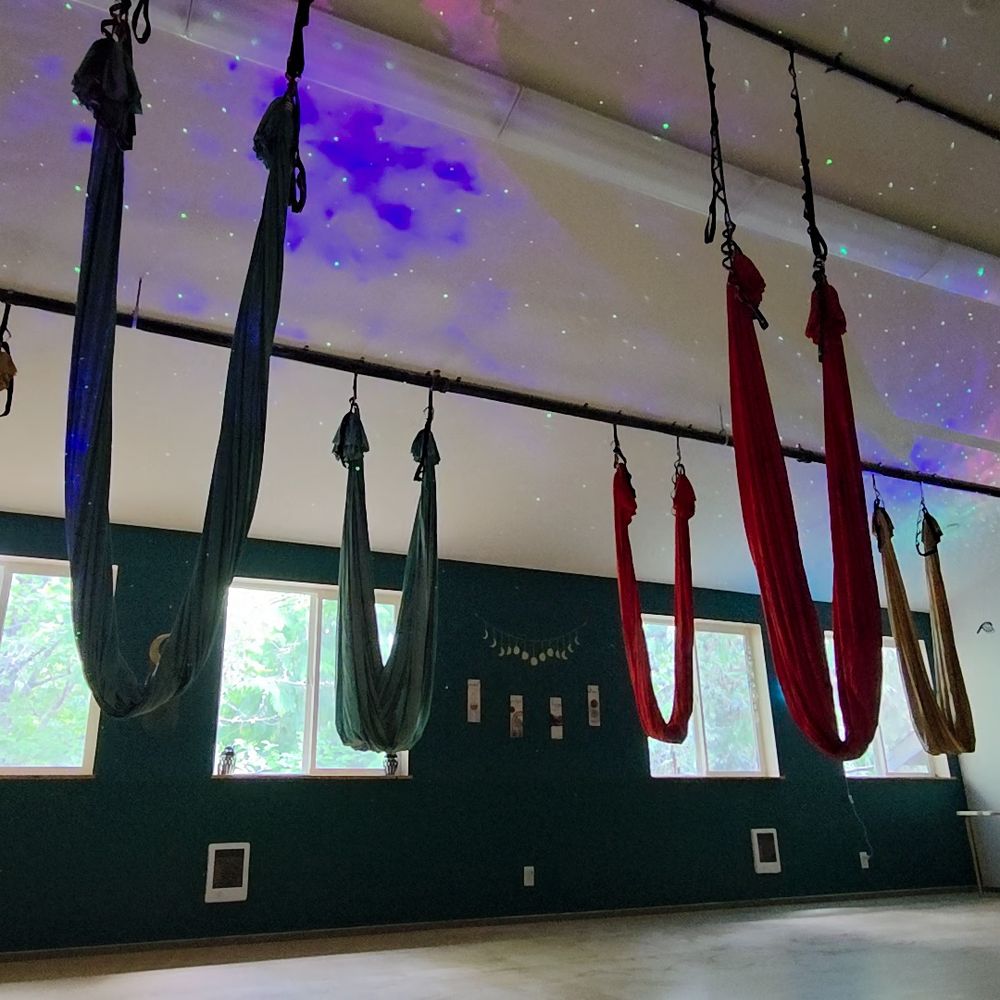 TOP 10 BEST Aerial Yoga in Kitsap County, WA - Updated 2025 - Yelp
