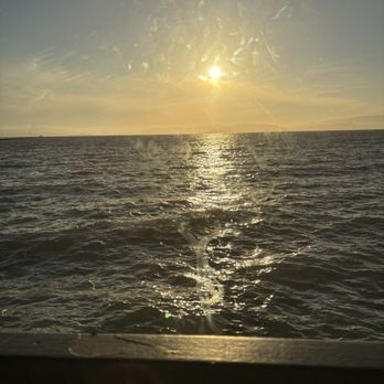 Skates On The Bay - The View - Seafood Near Me - Berkeley, California