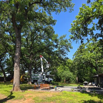 Speedy Tree Services - Speedy #treeservices took out dead overheanging trees around pool area. - Tree Services Near Me - Farmersville, Texas Speedy Tree Services - Speedy #treeservices took out dead overheanging trees around pool area. - Tree Services Near Me - Farmersville, Texas