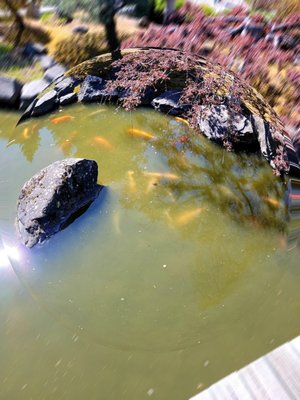 Kasugai Gardens by null