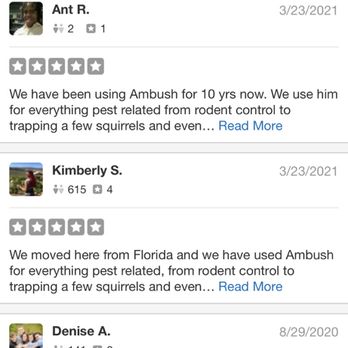 Ambush Pest Management - There are over 20 5 star reviews being hidden by Yelp censorship on our page. We are actually a 4.5 star company. - Pest Control Near Me Ambush Pest Management - There are over 20 5 star reviews being hidden by Yelp censorship on our page. We are actually a 4.5 star company. - Pest Control Near Me