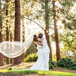 Ciara Cusseaux Photography - Newlywed kisses in the redwoods of northern California.