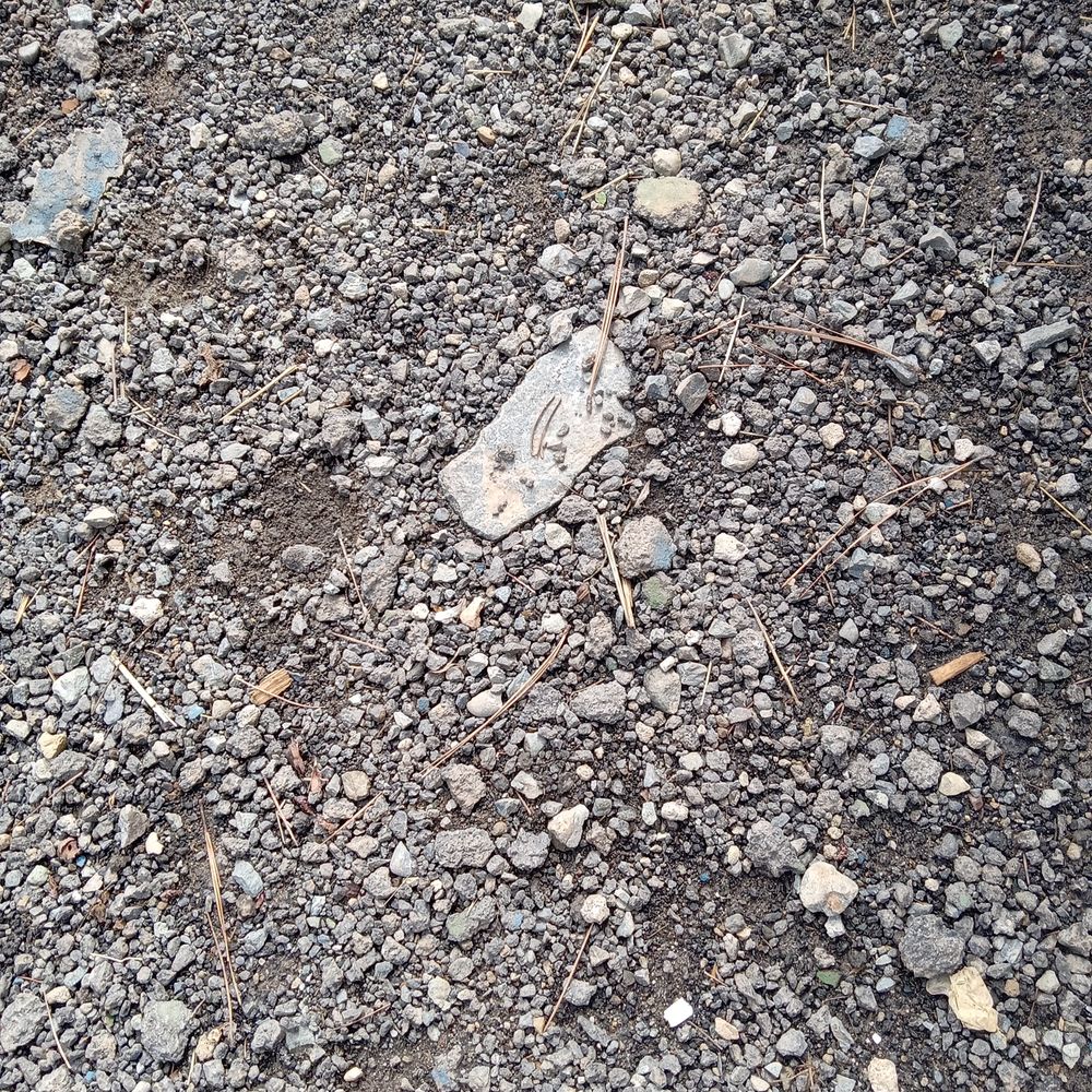 Choice Construction - More trash - Masonry/Concrete Near Me Choice Construction - More trash - Masonry/Concrete Near Me