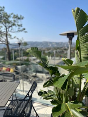 Kimpton Hotel Wilshire by null