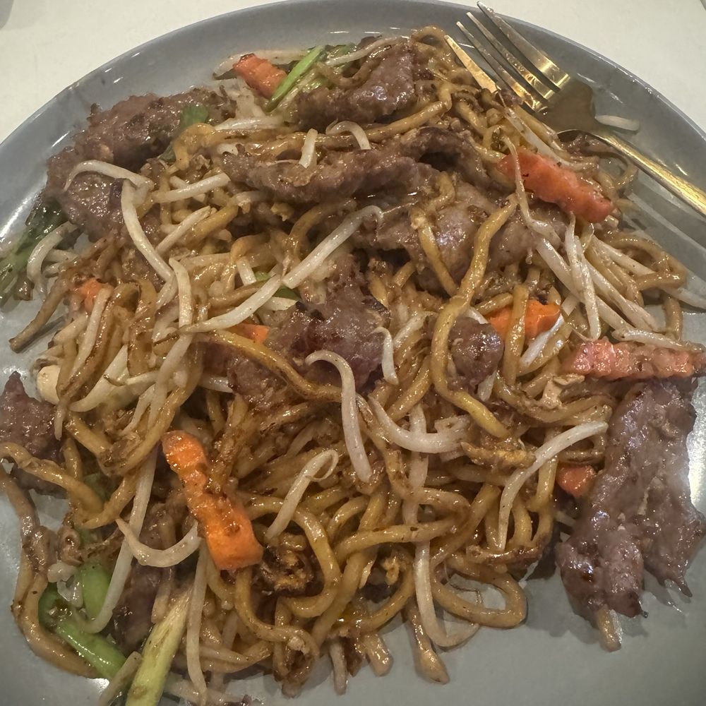 Beef Lo Mein Noodles Beef Lo Mein Noodles