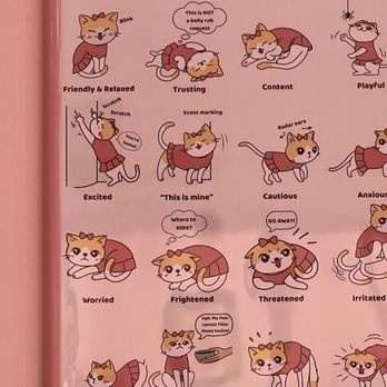 Kitty Bubble Cafe & Bar - Cafes Near Me - Columbus, Ohio Kitty Bubble Cafe & Bar - Cafes Near Me - Columbus, Ohio
