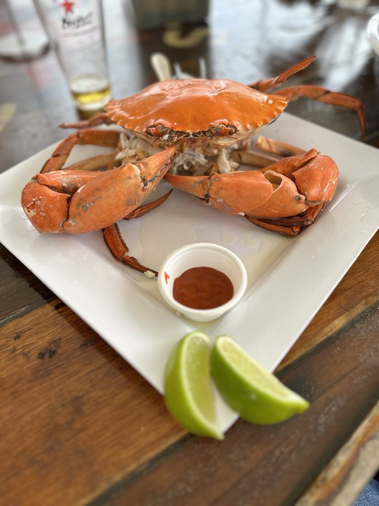 Prawn Star