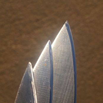 True Edge Mobile Sharpening Service - Knife Sharpening Near Me True Edge Mobile Sharpening Service - Knife Sharpening Near Me