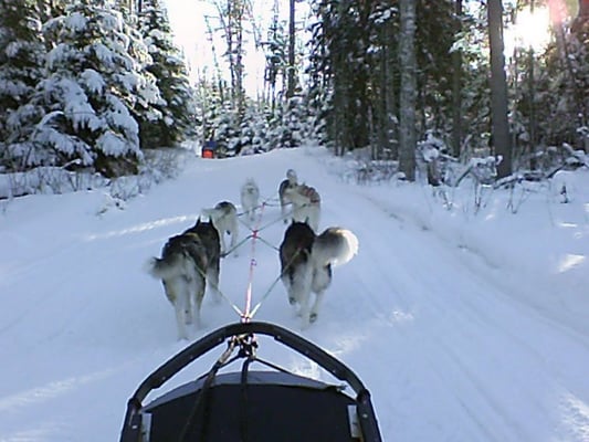 Gunflint Lodge & Outfitters by null