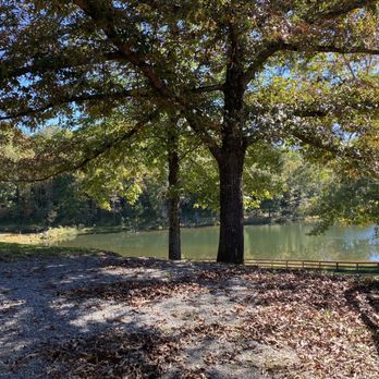 Cedar Creek Stables - Horseback Riding Near Me - Lake Lure, North Carolina Cedar Creek Stables - Horseback Riding Near Me - Lake Lure, North Carolina