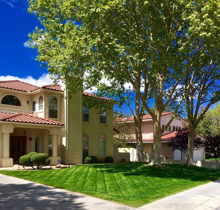 Omega Landscaping - tree service in Albuquerque, NM