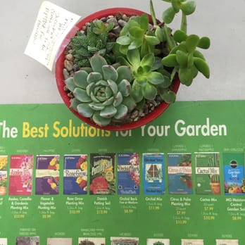 Armstrong Garden Centers - It's looks pretty - Nurseries & Gardening Near Me - Glendale, California