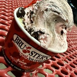 Bruster's Real Ice Cream - Eggnog and Peppermint Oreo