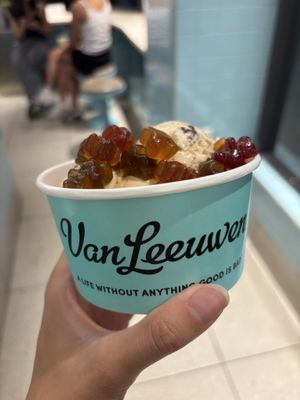 Van Leeuwen Ice Cream by null