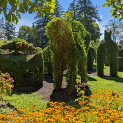 Green Animals Topiary Gardens - Green Animals Topiary Gardens, Portsmouth