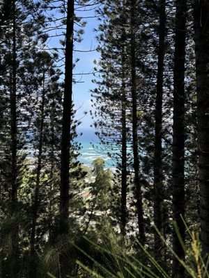 Hauʻula Loop Trail by null