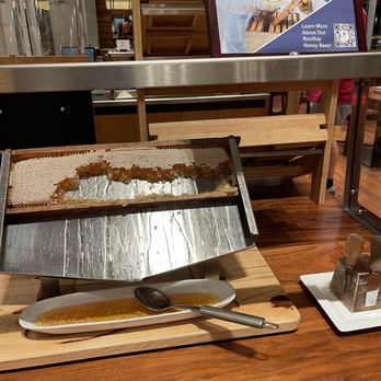 Hyatt Regency Atlanta - Real honey! - Hotels Near Me - Atlanta, Georgia