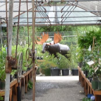 Portland Nursery - MOOSE! - Nurseries & Gardening Near Me - Portland, Oregon Portland Nursery - MOOSE! - Nurseries & Gardening Near Me - Portland, Oregon