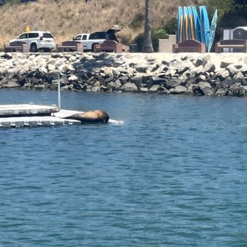 Oceanside Adventures - Boat Charters Near Me - Oceanside, California Oceanside Adventures - Boat Charters Near Me - Oceanside, California