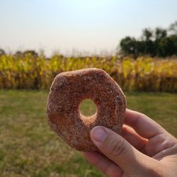 Busy Barns Adventure Farm - Apple cider donut