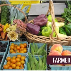 Mill Creek Farm