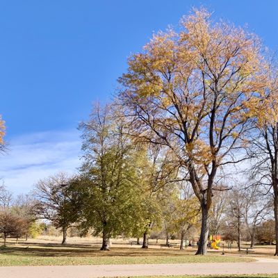 City Park West by null