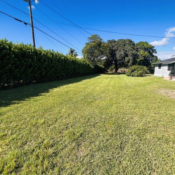 Knockout Lawn & Landscape - One week old and still looking clean! Thanks Eric! - Lawn Services Near Me - Homestead, Florida Knockout Lawn & Landscape - One week old and still looking clean! Thanks Eric! - Lawn Services Near Me - Homestead, Florida
