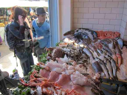 Fin and Flounder by null