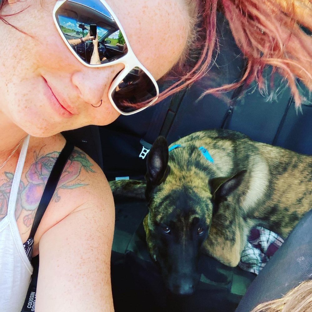 DOGS BY DANIELS Updated September 2024 Oshawa, Ontario Dog