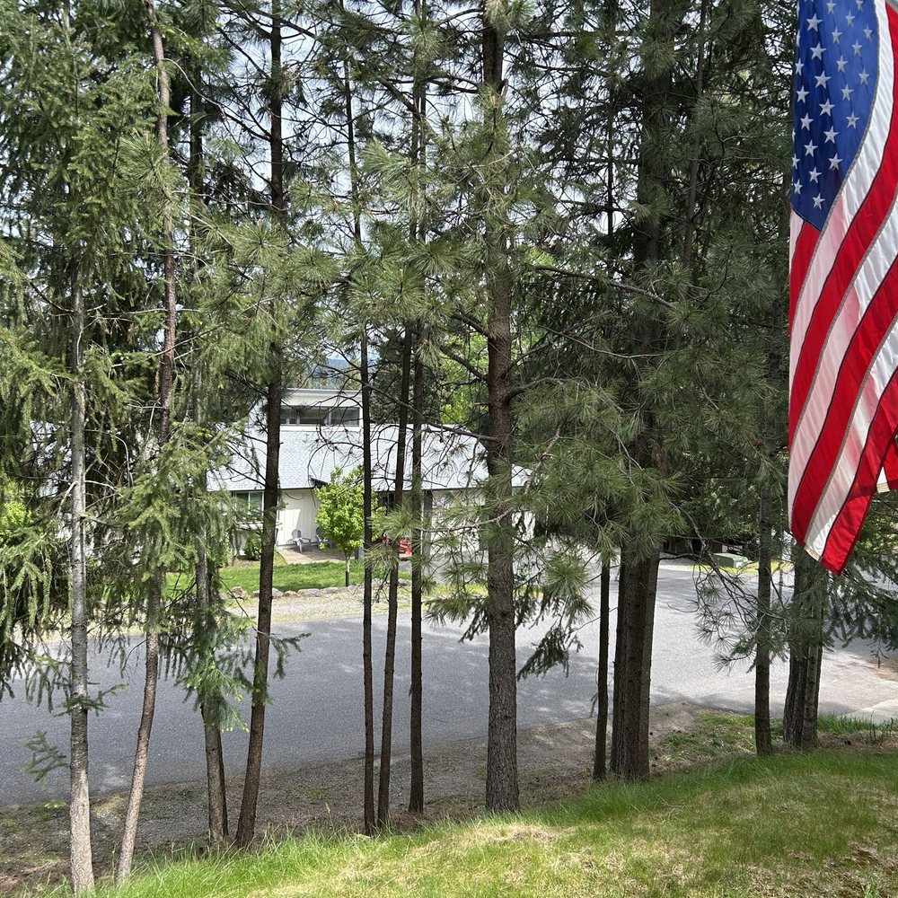 Cutting The Green - After - Tree Services Near Me - Hayden, Idaho